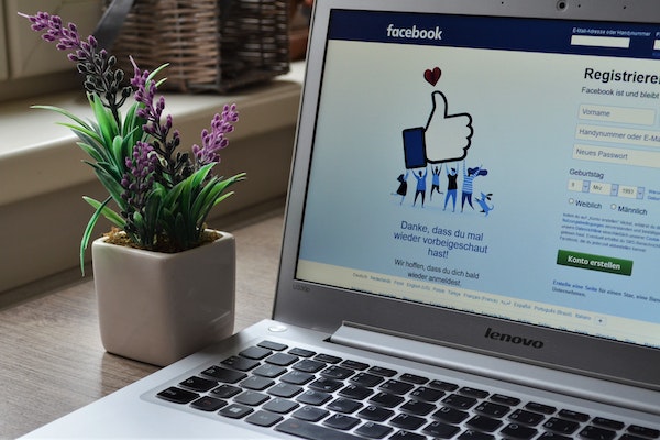un pot de fleur et un ordinateur ouvert avec l'interface de Facebook